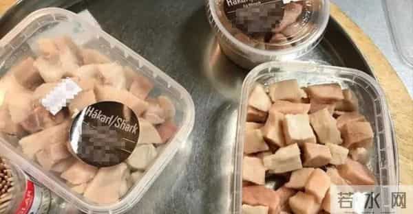 北冰洋发现400岁的格陵兰鲨鱼