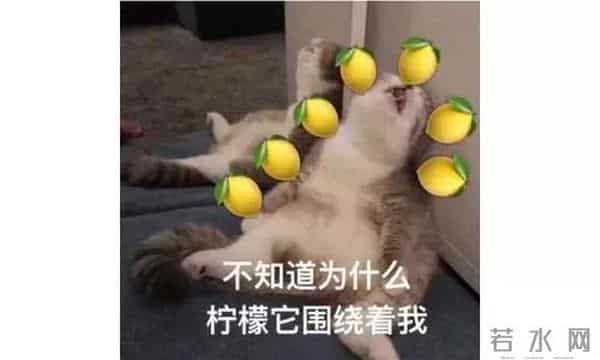 大张伟被老婆拎