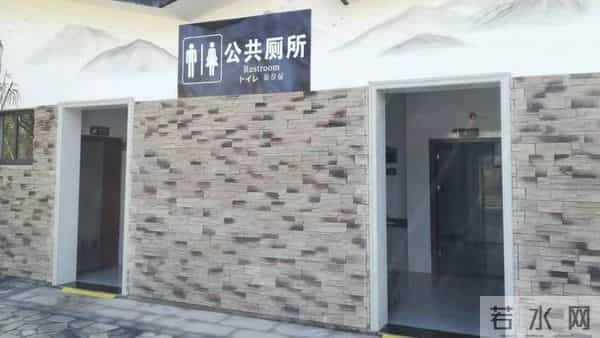 世界厕所日-世界厕所日 你不知道的那些事