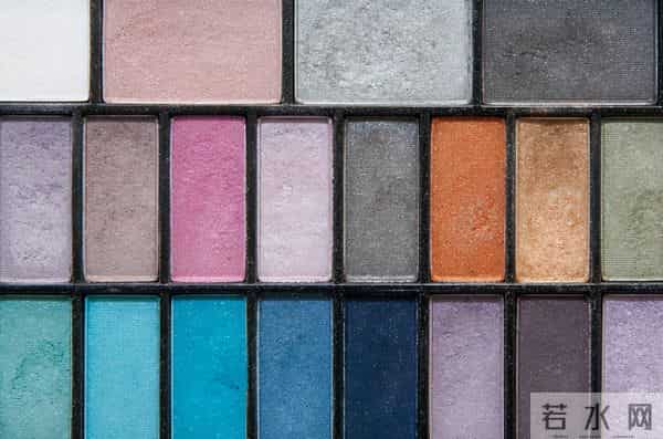 独角鲸的角-独角鲸的“角”记录了北极环境的变化