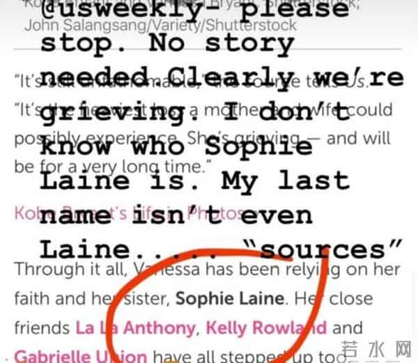 瓦妮莎怒斥假新闻