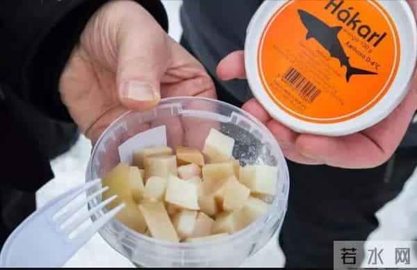 北冰洋发现400岁的格陵兰鲨鱼