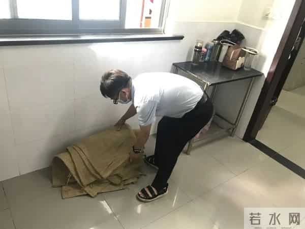 台风烟花逼近上海