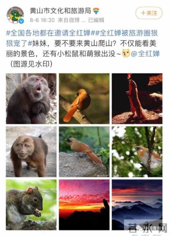 全红婵没去过动物园和游乐园