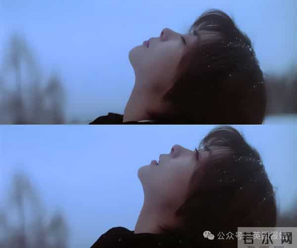 田原俊彦-日本知名女星突然去世!主演《情书》成经典纯爱白月光,网友告别