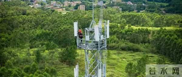 我国海水稻种植破百万亩