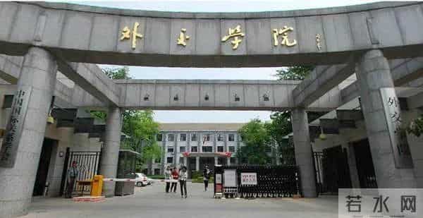 翻译张京简介-冷艳女翻译张京一夜成名，凭的是美貌和运气吗？