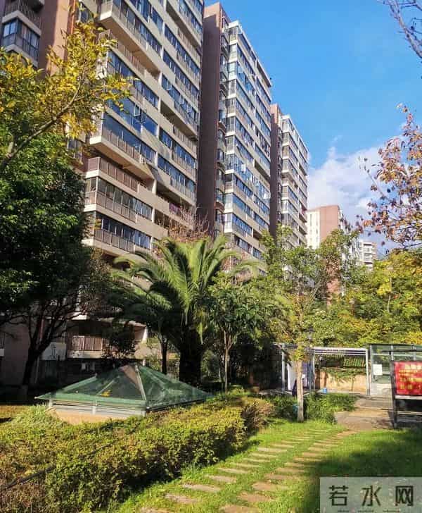 复旦大学教师陈果变疯