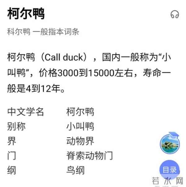 王珞丹发寻鸭启事