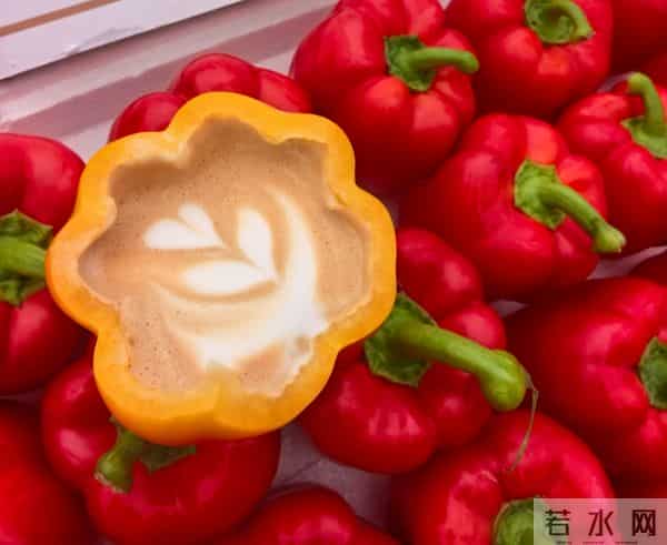 肖恩怀特滑雪-冬奥小城的滑雪新事