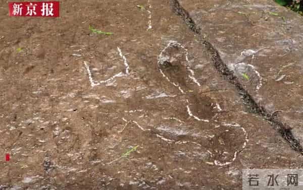 四川5岁小男孩发现恐龙足迹