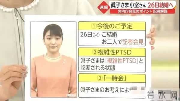 日本确认真子公主患精神疾病