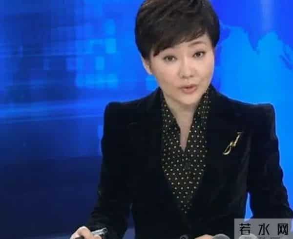 胥午梅近况-主持过央视《新闻30分》,观众缘好又干练大方的胥午梅去哪了