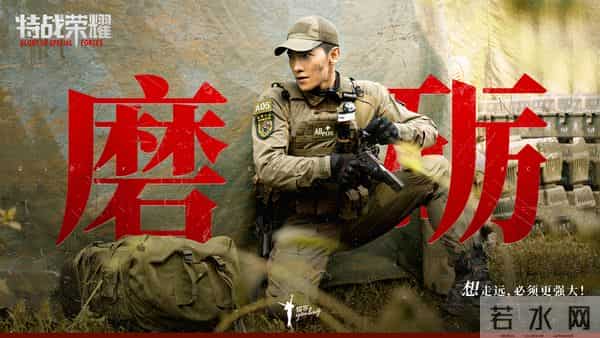 特战荣耀电视剧完整版免费观看