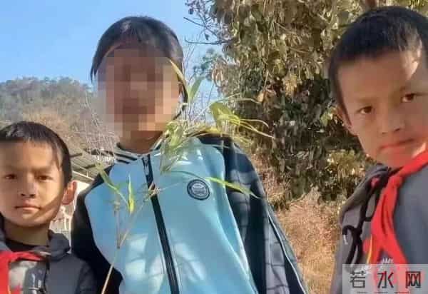 云南12岁失联双胞胎兄弟不幸身亡
