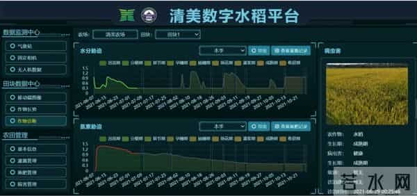 我国海水稻种植破百万亩