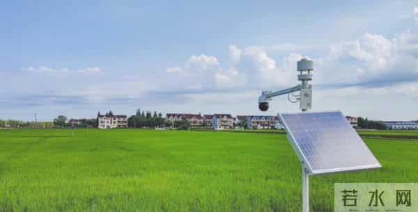 我国海水稻种植破百万亩