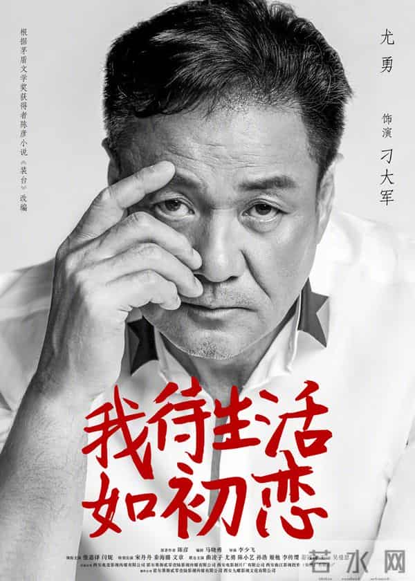 闫妮张嘉译主演的新剧