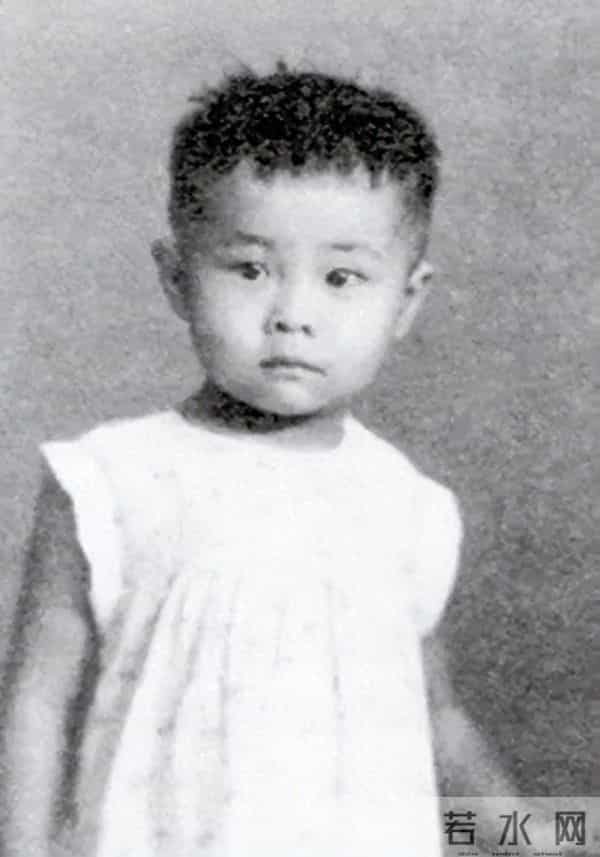 华克放-重庆大轰炸的幸存者和隐战者(华克放)