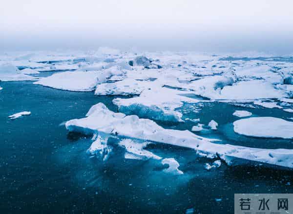 独角鲸的角-独角鲸的“角”记录了北极环境的变化