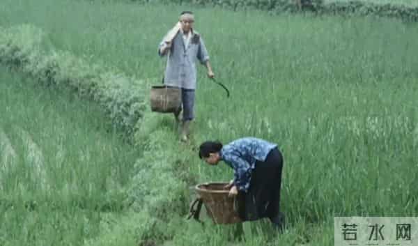 钱之江-老特务手段高明,潜伏8年安然无恙,后来被捕的原因让人哭笑不得