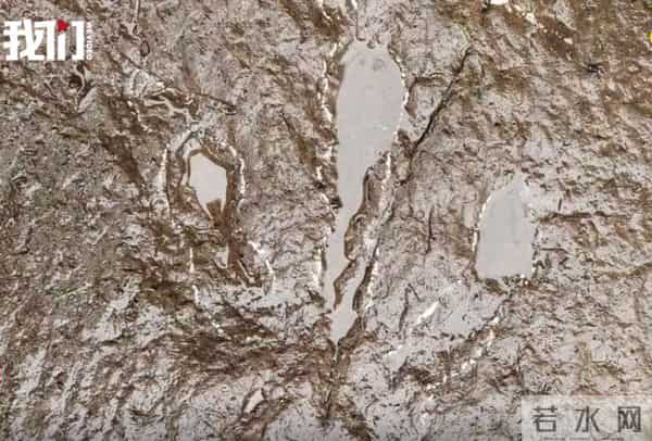 四川5岁小男孩发现恐龙足迹