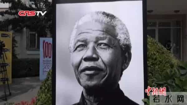 五十六个什么五十六枝花