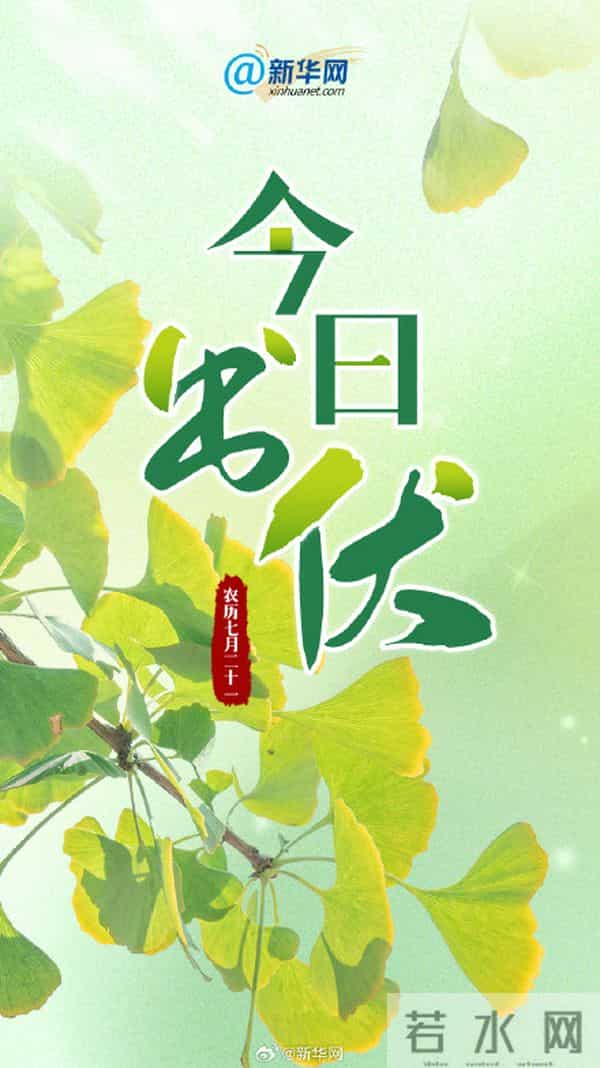 超长三伏天结束了