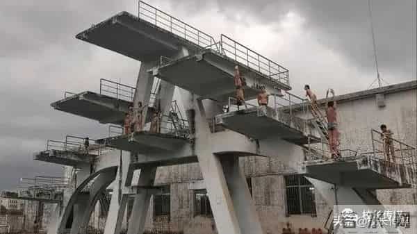 全红婵为何被全世界偏爱