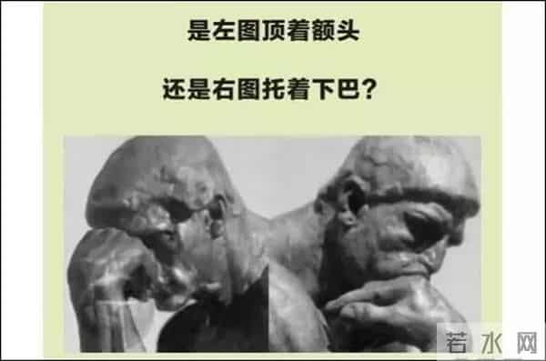 五十六个什么五十六枝花