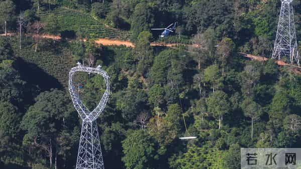直升机追踪堵截象群