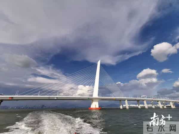 深圳40周年直播