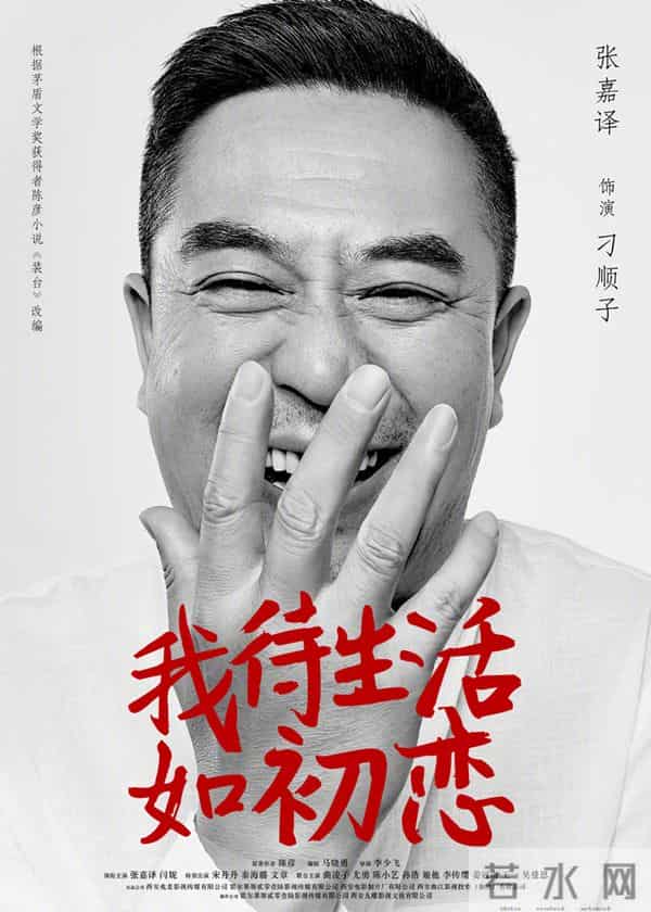 闫妮张嘉译主演的新剧