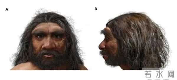 斯金格-14万年前“龙人”头骨，在中国被发现，专家：人类进化的有力证据