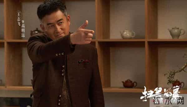 扫黑风暴演员表 名单