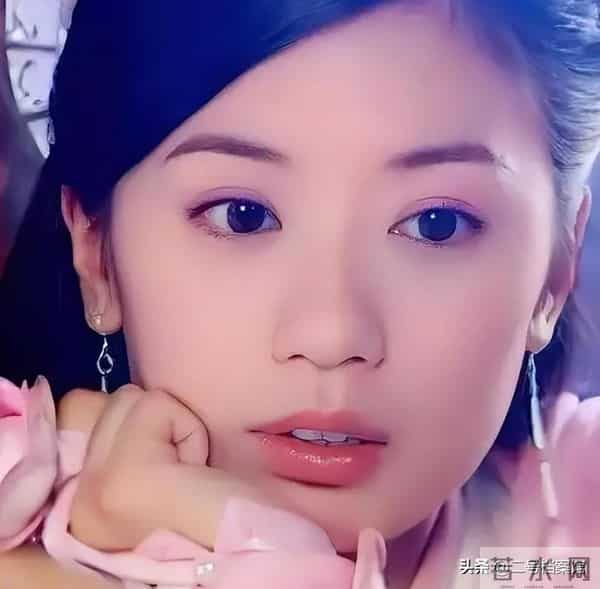 贾静雯姐弟恋-半路夫妻能走多远，姐弟恋的现实问题，在51岁的贾静雯身上体现了