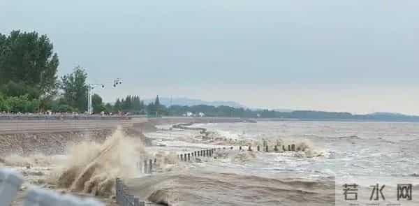 海峡夜航-周恩来请沙孟海写标语：一定要解放台湾，沙孟海却建议写这四个字
