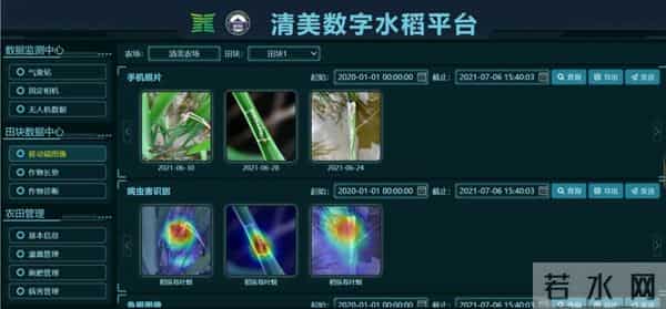 我国海水稻种植破百万亩