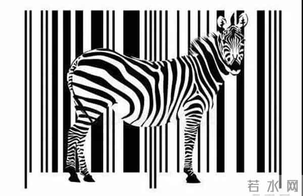 斑马是白马黑条纹还是黑马白条纹