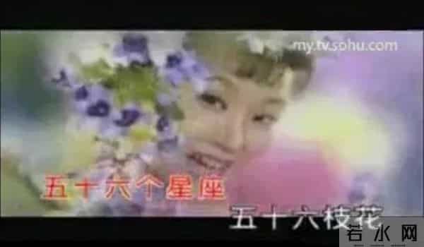 五十六个什么五十六枝花