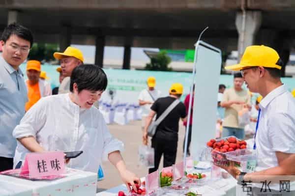 长安荔枝-长安的荔枝，到底来自哪儿？