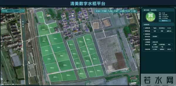 我国海水稻种植破百万亩