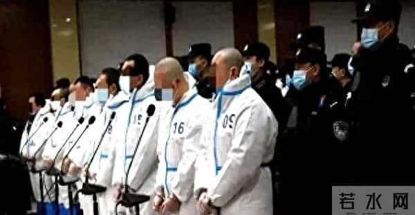 反黑风爆-湖北打黑风暴