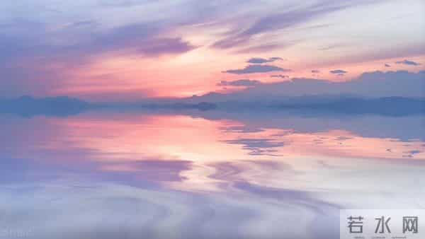 写观察日记（四年级第三单元作文范文22篇）