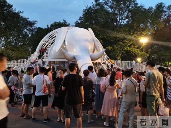 碎路、秃草、消失的大树：亲身感受改造后的兴庆公园