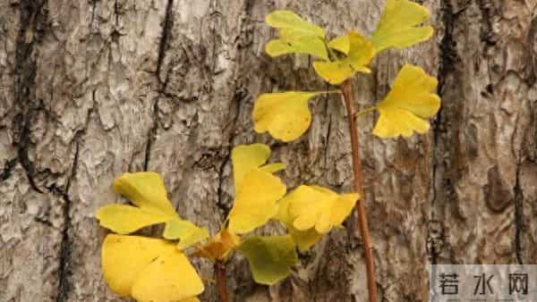 和老母亲住一起6年,我终于明白:对父母心疼过度,就是在坑自己