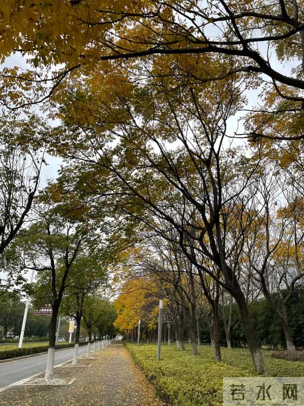 亲情可贵 感恩生命