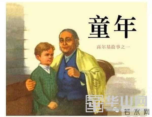 临渭区西张小学学生安中林:读《童年》有感