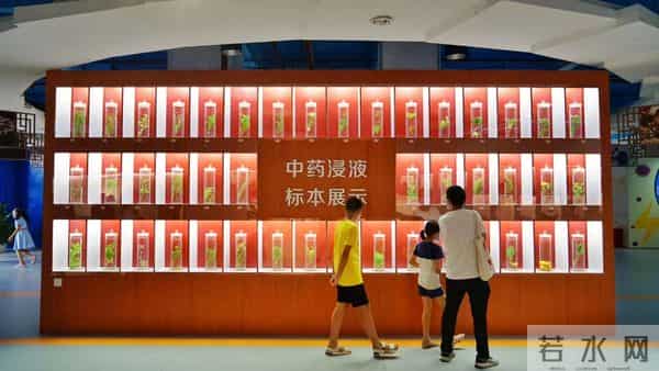 区科协做客 FM104.3《民生访谈》推介特色科普活动