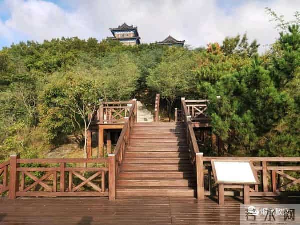 刘学光|-一棵有灵魂的树